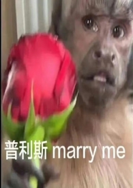 自我沉沦（nph）自我沉沦（nph）